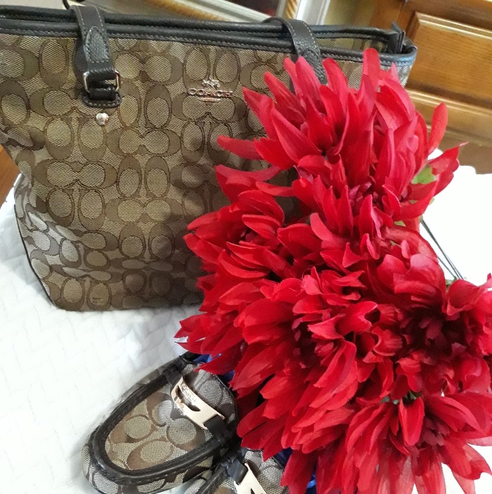 Price dropped today only, $50, Coach purse, with free shoes size 10